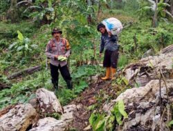 Dekat dengan Petani, Bhabinkamtibmas Kaimana Bantu Bibit Jagung Manis FI Paragon untuk Lahan 1 Hektar