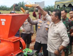 Kapolres Fakfak Pimpin Panen Raya Jagung Serentak Dukung Swasembada Pangan