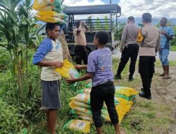 Polsek Kurulu Salurkan Beras Sphp Dalam Rangka Gerakan Pangan Murah di Distrik Usilimo