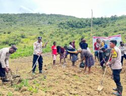 Polsek Kurulu Bersama Kelompok Tani Kampung Isaima Gelar Penanaman Jagung Serentak Kuartal IV Tahun 2025