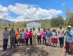 Penanaman Jagung Serentak Kuartal IV 2025, Polsek Asologaima Dukung Ketahanan Pangan Masyarakat