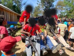 Polres Jayawijaya Amankan 13 Bibit Pohon Ganja