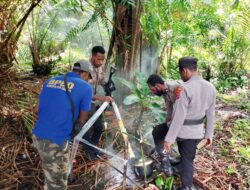 Maraknya Kasus Pemabukan di Distrik Citak Mitak, Polsek Cita Mitak Ambil Langkah Tegas