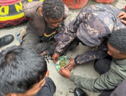 Polres Jayawijaya Amankan Dua Pemuda Penyalahguna Ganja, Barang Bukti 49 Gram Lebih