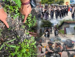 Patroli Polres Jayawijaya Amankan Warga Diduga Konsumsi Narkotika