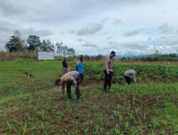Sat Binmas Polres Jayawijaya dampingi Petani Perkuat Ketahanan Pangan