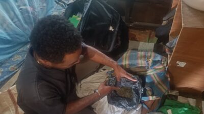Sat Narkoba Polres Jayawijaya Amankan Terduga Pengedar Ganja demi Lindungi Generasi Muda