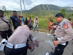 Kecelakaan Lalu Lintas Di Kampung Alona Distrik Usilimo 1 Meninggal Dunia, 1 Luka-luka