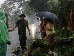 Bantu Tangani Pohon Tumbang Yang Menutupi Akses Jalan Utama, Koramil 1310-04/Dimembe Gerak Cepat