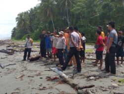 Pencarian Hari Ketujuh Korban Tenggelam di Bonggo Resmi Dihentikan, Pencarian Mandiri Tetap Dilanjutkan