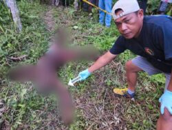 Penganiayaan Berujung Maut di Kampung Mawes Mukti SP6, Polsek Bonggo Amankan Terduga Pelaku