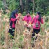 Dari Ladang Jagung, Polri Menjawab Instruksi Presiden: Fakfak Barat Panen untuk Ketahanan Pangan