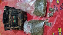Polres Jayawijaya Amankan Seorang Pemuda Beserta 101,62 Gram Ganja