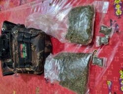 Polres Jayawijaya Amankan Seorang Pemuda Beserta 101,62 Gram Ganja