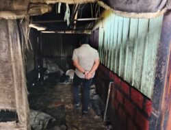 Sat Resnarkoba Polres Jayawijaya Amankan Lokasi Produksi Miras Lokal di Wamena