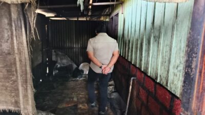 Sat Resnarkoba Polres Jayawijaya Amankan Lokasi Produksi Miras Lokal di Wamena