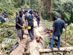 Respon Cepat, Polres Jayawijaya Olah TKP Kecelakaan Kerja di Distrik Wame Wamena