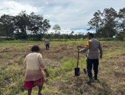 Polsek Kawasan Bandara Wamena Cek Lahan Jagung, Dukung Program Ketahanan Pangan