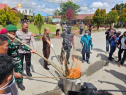 Polres Jayawijaya Musnahkan Miras, Ganja, dan Sajam Hasil Razia Triwulan I 2026