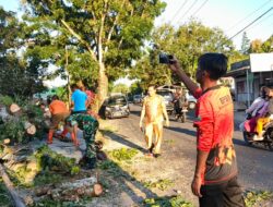 Atas Kesigapan Babinsa Jajarannya Atasi Bencana Pohon Tumbang, Dandim 1310/Bitung Beri Apresiasi