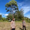 Polsek Asologaima Lakukan Pengecekan Lahan Program Ketahanan Pangan di Kampung Kimbim