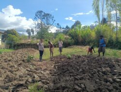 Polsek Asologaima Laksanakan Program Pekarangan Pangan Bergizi