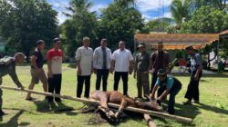 Momentum Perkuat Iman dan Pererat Hubungan Silaturahmi TNI dan Masyarakat, Kodim 1310/Bitung Gelar Sholat Idul Adha 1447 H dan Serahkan Hewan Qurban