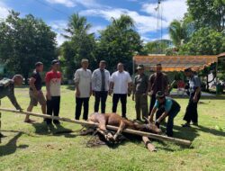 Momentum Perkuat Iman dan Pererat Hubungan Silaturahmi TNI dan Masyarakat, Kodim 1310/Bitung Gelar Sholat Idul Adha 1447 H dan Serahkan Hewan Qurban