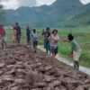 Kapolsek Kurulu Pantau Perkembangan Lahan Jagung Dukung Swasembada Pangan 2026