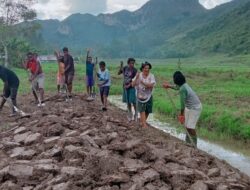 Kapolsek Kurulu Pantau Perkembangan Lahan Jagung Dukung Swasembada Pangan 2026