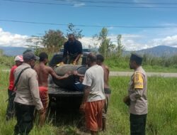 Polsek Kurulu lakukan pengecekan lahan jagung kuartal II dan serahkan bantuan sarana produksi