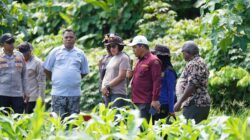 Wakapolda Papua Barat dan Kepala BRMP Optimalkan Pengembangan Benih Jagung untuk Ketahanan Pangan Papua Barat