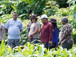 Wakapolda Papua Barat dan Kepala BRMP Optimalkan Pengembangan Benih Jagung untuk Ketahanan Pangan Papua Barat