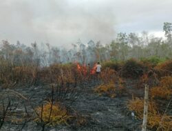 Kebakaran Hutan dan Lahan Terjadi di Distrik Tomage, Polsek Bomberay Lakukan Penanganan Cepat
