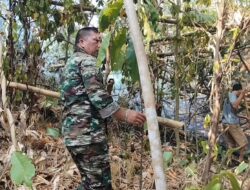 Cegah Api Mendekati Sekolah, Babinsa Koramil 1310-03/Likupang Bersama Warga Gerak Cepat Padamkan Kebakaran Lahan Perkebunan di Kokoleh Satu
