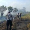 Polres Jayawijaya Bersama Damkar Padamkan Kebakaran Lahan 3,5 Hektare di Parema