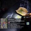 Patroli Malam di Wamena, Sat Samapta Polres Jayawijaya Amankan Ganja dan Alat Tajam